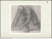 Thumbnail des 8. Ordners