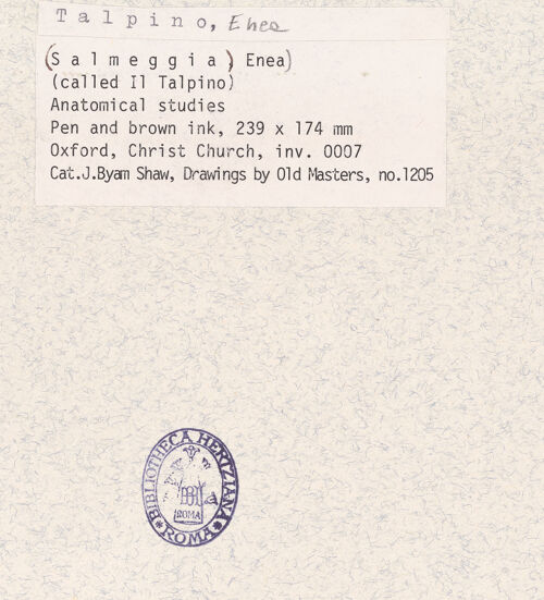 Rückseite von bh362071_recto