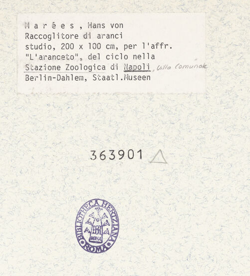 Rückseite von unbekannt [https://www.deutsche-digitale-bibliothek.de/content/lizenzen/rv-ez/] Studie zum Orangengarten - Neapel, Stazione Zoologica - Gesamtansicht, bh363901_recto. Foto: Fietz, Helga.