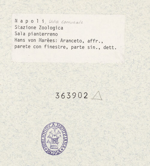 Rückseite von unbekannt [https://www.deutsche-digitale-bibliothek.de/content/lizenzen/rv-ez/] Orangengarten - Detail, bh363902_recto. Foto: Fietz, Helga.