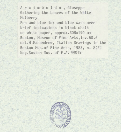 Rückseite von bh372789_recto