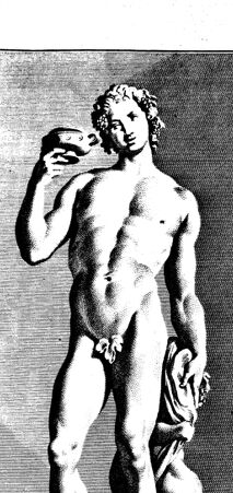 Rückseite von bh375221x