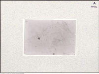 Thumbnail des 15. Ordners