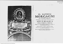 Thumbnail für G10_Varia_Portraits