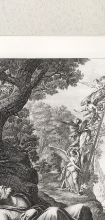 Rückseite von bh384416