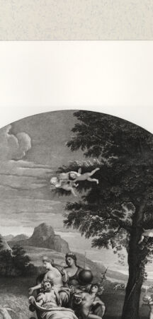 Rückseite von bh386347