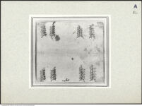 Thumbnail des vierten Ordners