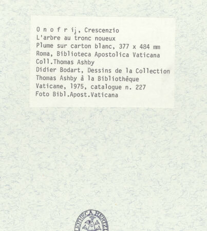 Rückseite von bh388897_recto