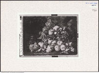 Thumbnail des dritten Ordners