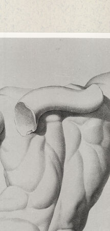 Rückseite von Istituto Nazionale per la Grafica [http://creativecommons.org/publicdomain/mark/1.0/] Giovanni Volpato - Raphael Morghen, "Principes du dessin...", Roma 1786Rückenansicht des Laokoon (Bl 32) - , bh391172. Foto.