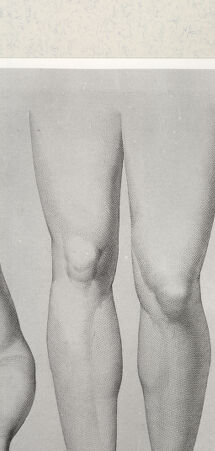 Rückseite von Istituto Nazionale per la Grafica [http://creativecommons.org/publicdomain/mark/1.0/] Giovanni Volpato - Raphael Morghen, "Principes du dessin...", Roma 1786Beine des Apoll aus den Uffizien (Bl 14) - , bh391225. Foto.