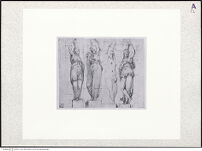 Thumbnail des dritten Ordners