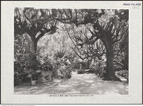 Thumbnail des 6. Ordners