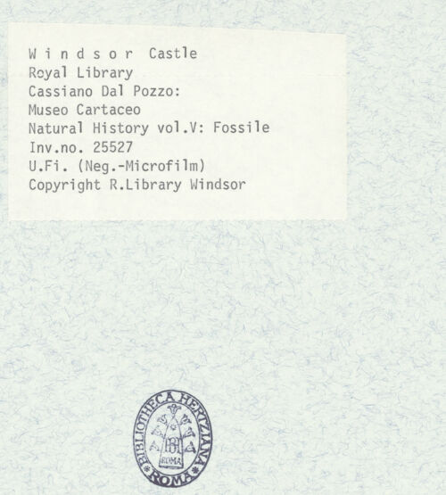 Rückseite von bh398401_recto