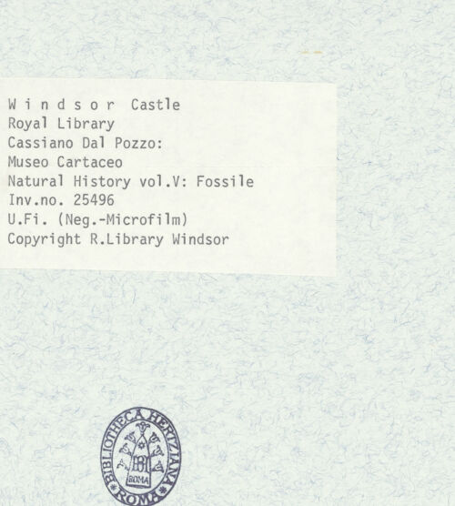 Rückseite von bh398424_recto