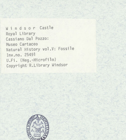 Rückseite von bh398429_recto