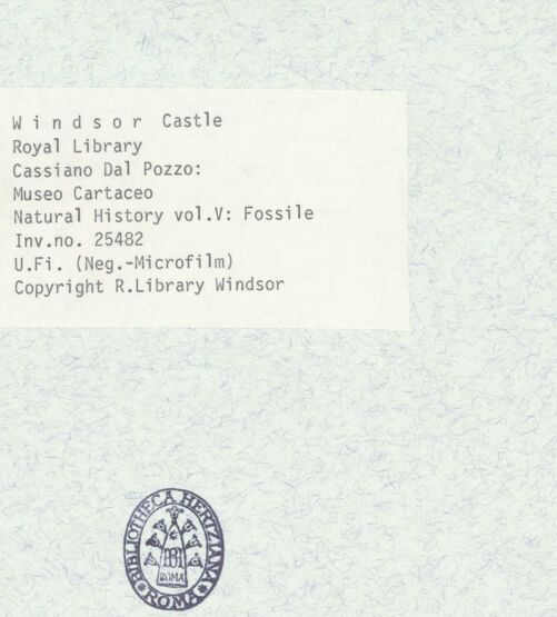 Rückseite von bh398432_recto