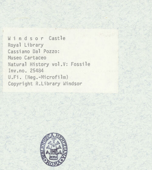 Rückseite von bh398434_recto