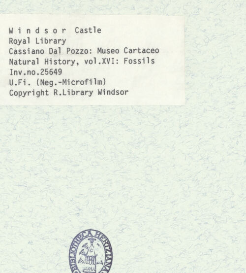 Rückseite von bh398646-1_bh398646-2_recto