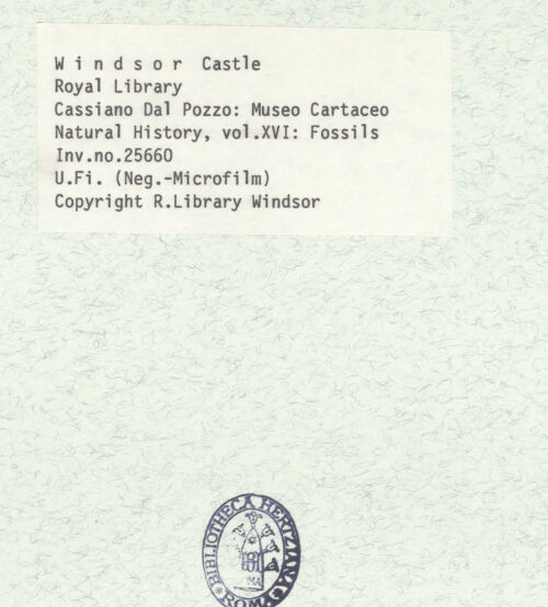 Rückseite von bh398657_recto