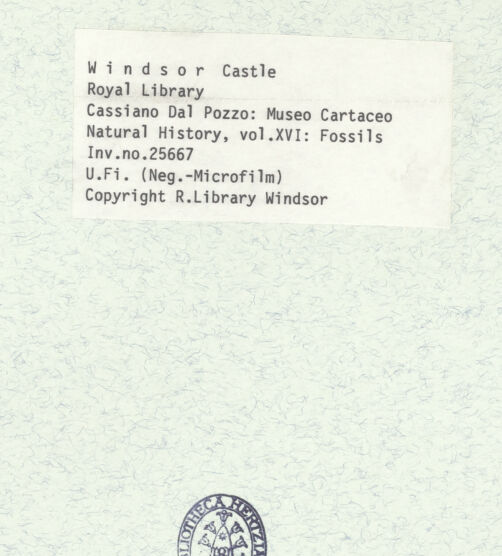 Rückseite von bh398658_recto