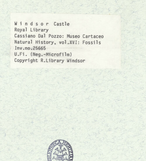 Rückseite von bh398660_recto