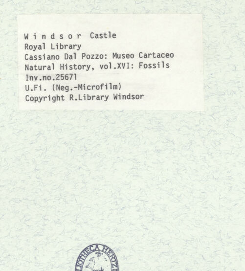 Rückseite von bh398664_recto