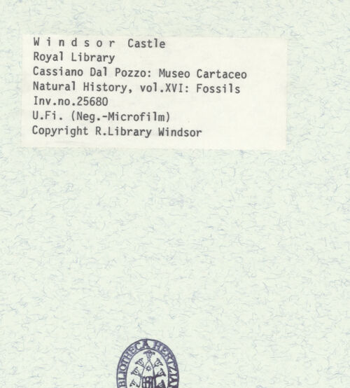 Rückseite von bh398675_recto