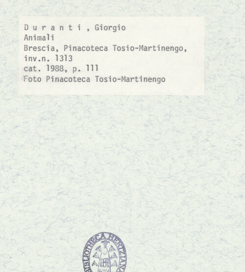 Rückseite von bh401219_recto