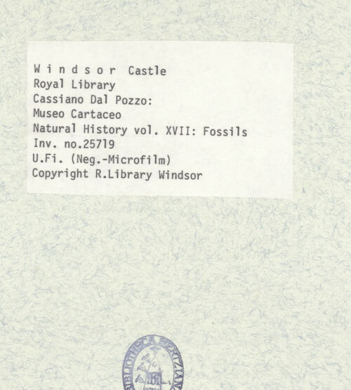 Rückseite von bh402191_recto