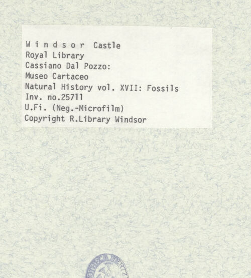 Rückseite von bh402203_recto