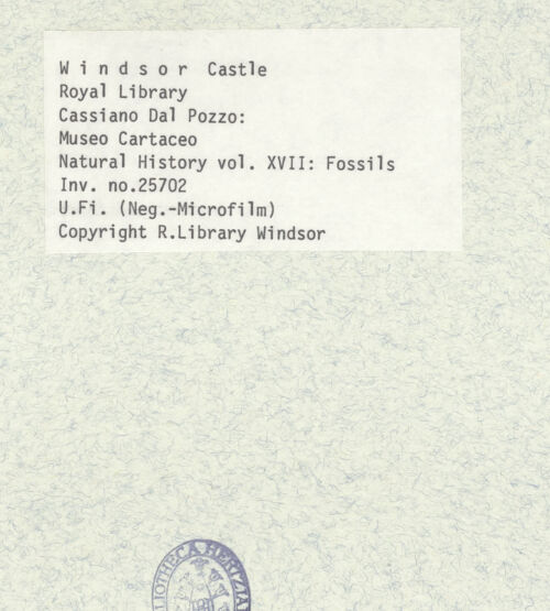 Rückseite von bh402204_recto