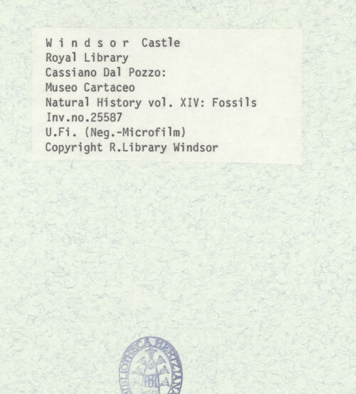 Rückseite von bh402231_recto