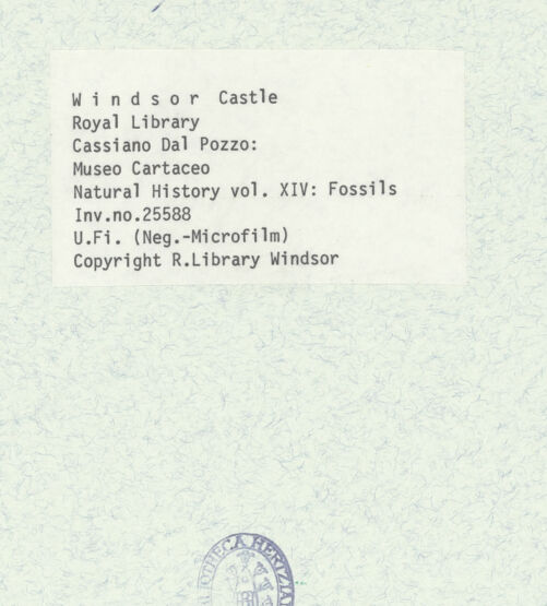 Rückseite von bh402232_recto