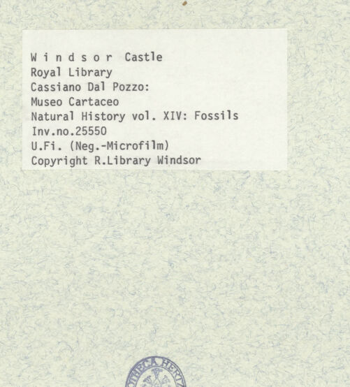 Rückseite von bh402376_recto