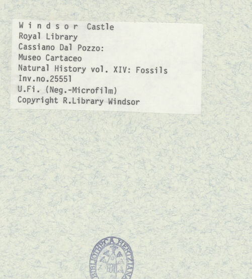 Rückseite von bh402377_recto