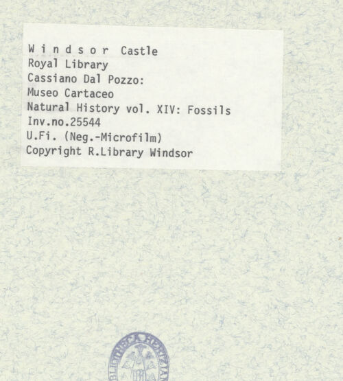 Rückseite von bh402380_recto