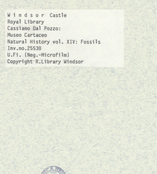 Rückseite von bh402384_recto