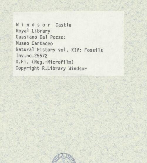 Rückseite von bh402601_recto