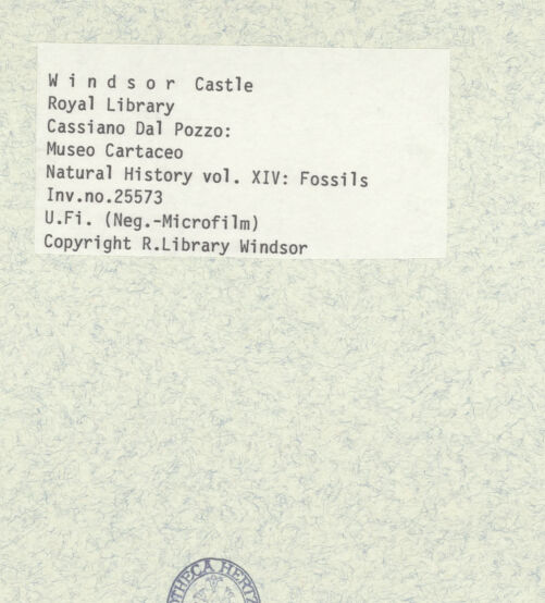 Rückseite von bh402602_recto