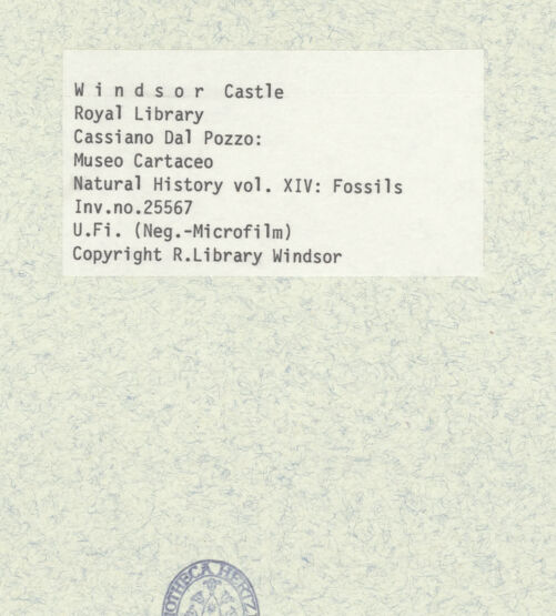 Rückseite von bh402605_recto