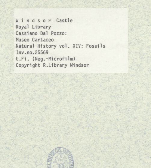 Rückseite von bh402607_recto