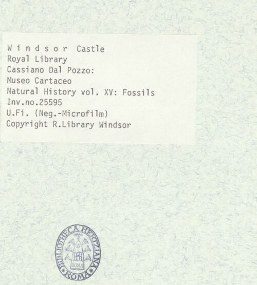 Rückseite von bh403035_recto