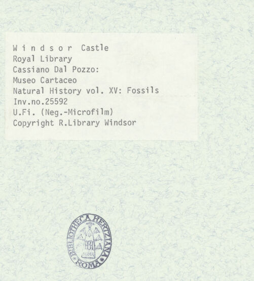 Rückseite von bh403036_recto