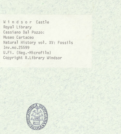 Rückseite von bh403038_recto