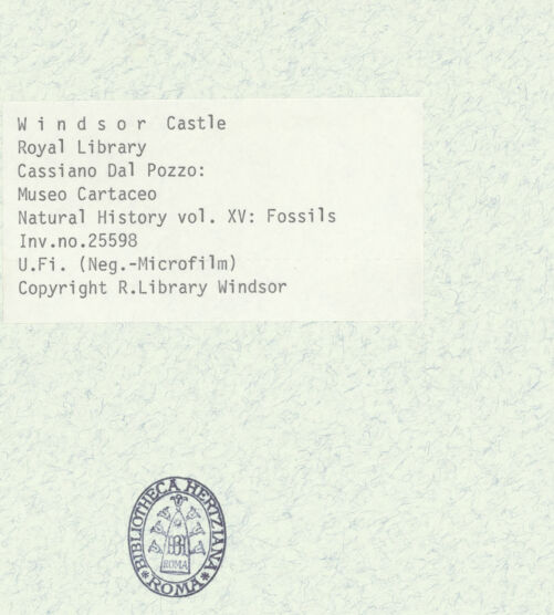 Rückseite von bh403041_recto