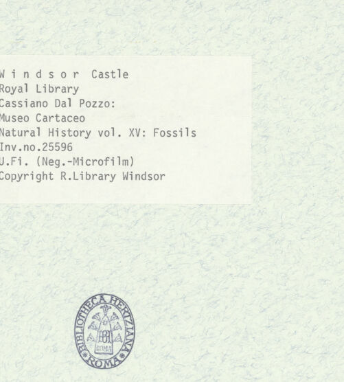 Rückseite von bh403043_recto