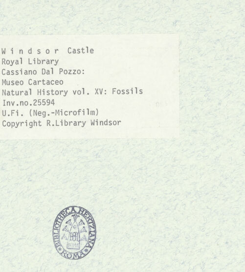 Rückseite von bh403044_recto