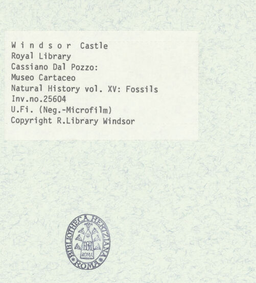 Rückseite von bh403045_recto