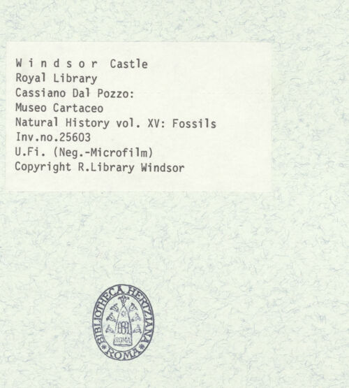 Rückseite von bh403046_recto